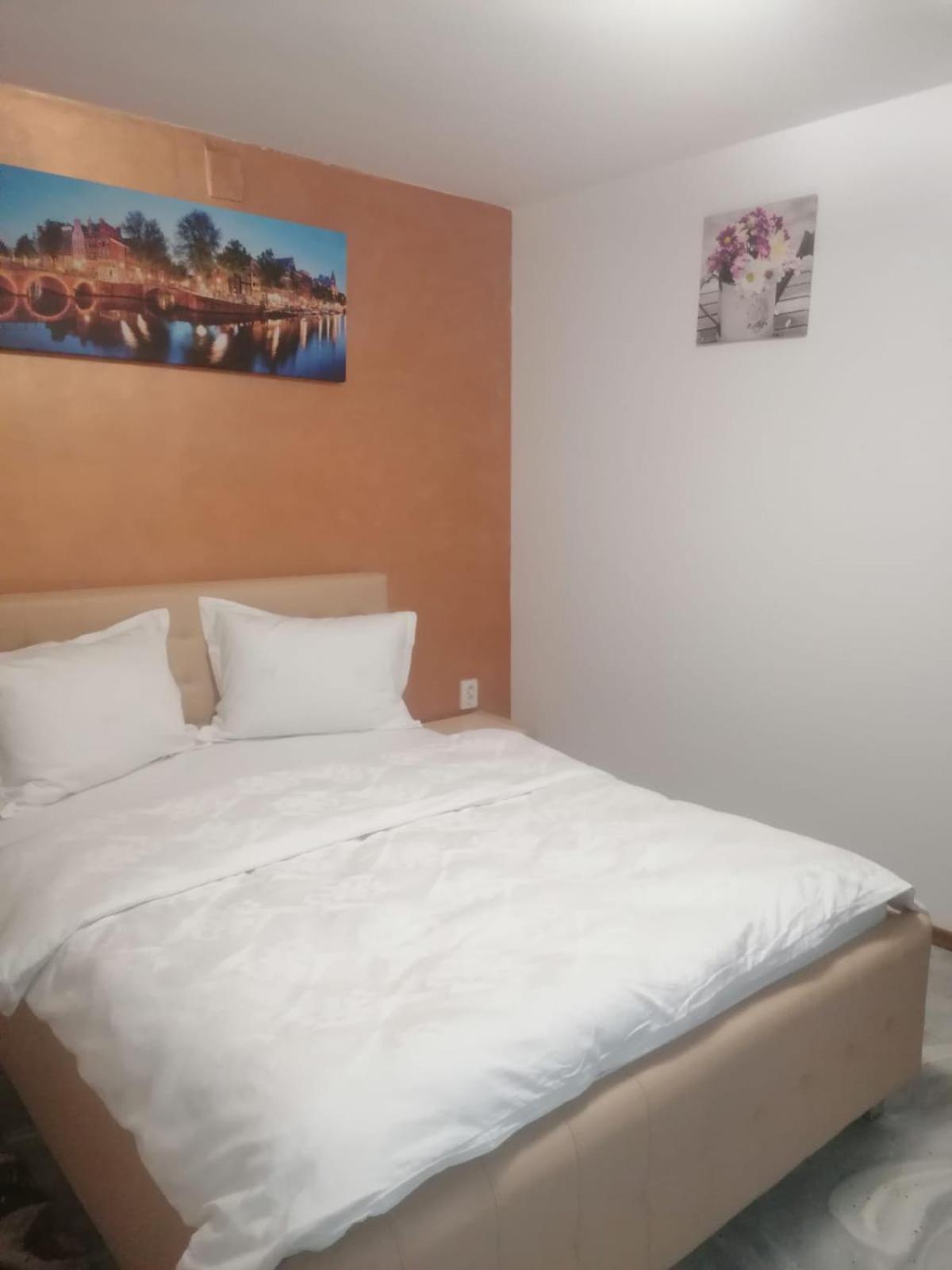 Casa Muresan Cluj-Napoca Eksteriør billede